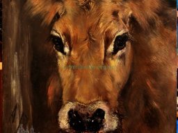 Антон Ромако (1832–1889) «Етюд голови корови» -artmuseum.org.ua